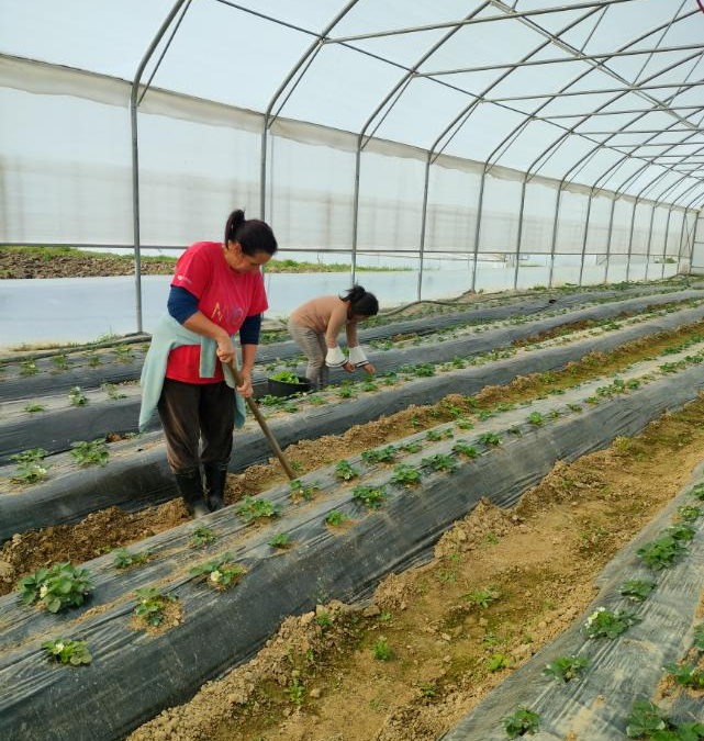 OBAVJEŠTENJE ZA MEDIJE